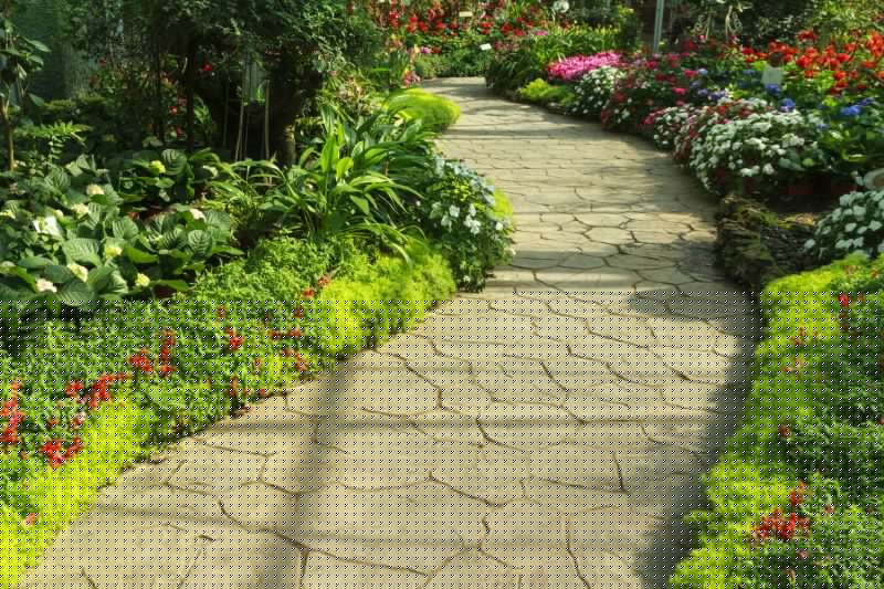 Paved Walkway Service