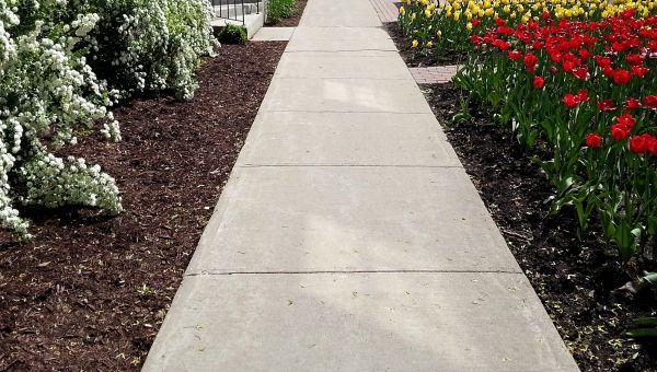 Cost of Cement Sidewalk Installation in Iowa City